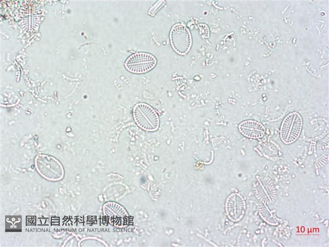 登錄號:A00004501藏品圖，第3張