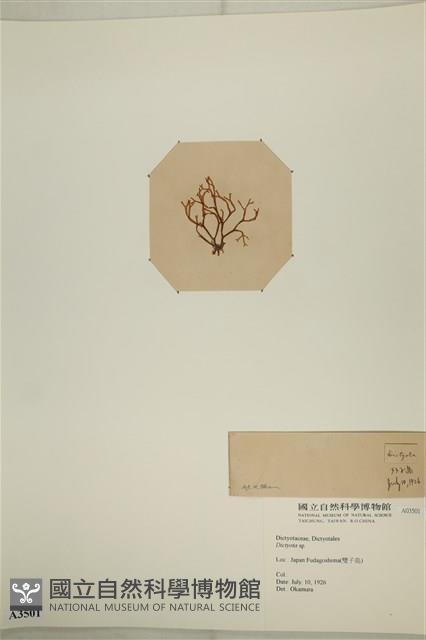 登錄號:A00003501藏品圖，第3張