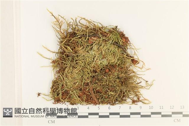 登錄號:B00012401藏品圖，第1張