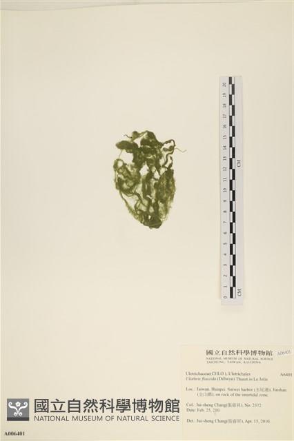 登錄號:A00006401藏品圖，第3張