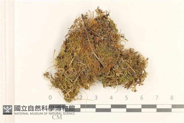 登錄號:B00017401藏品圖，第1張