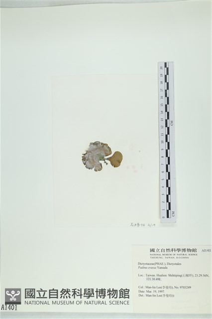 登錄號:A00001401藏品圖，第3張