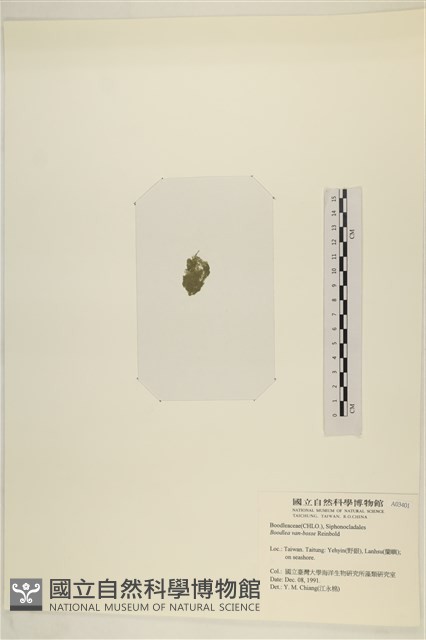 登錄號:A00003401藏品圖，第3張