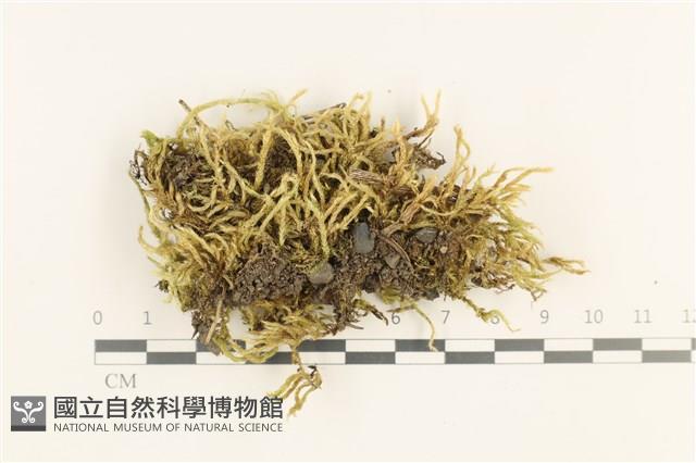 登錄號:B00011701藏品圖，第1張