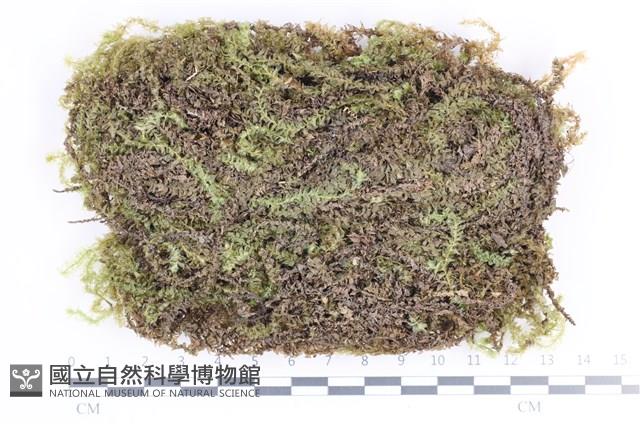 登錄號:B00010681藏品圖，第1張