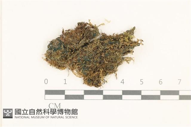登錄號:B00019181藏品圖，第1張