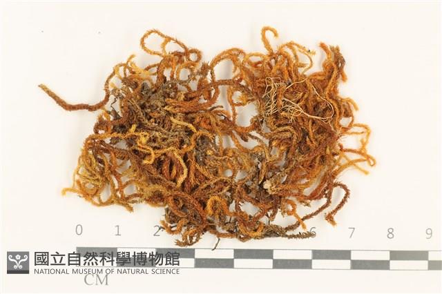 Accession Number:B00004581 Collection Image, Figure 1, Total 2 Figures