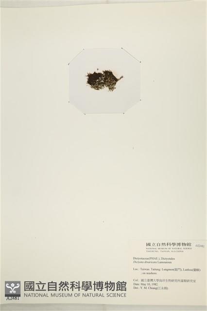 登錄號:A00002481藏品圖，第3張