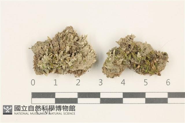 登錄號:B00012781藏品圖，第1張