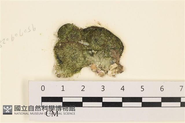 登錄號:A00005781藏品圖，第1張