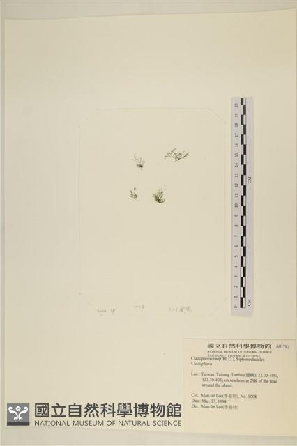 登錄號:A00001781藏品圖，第1張