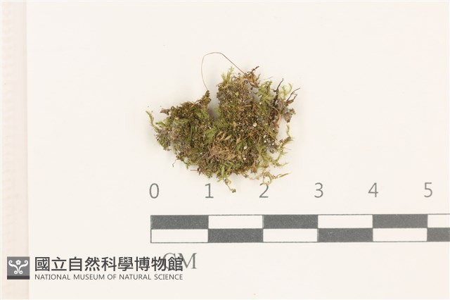登錄號:B00014630藏品圖，第1張