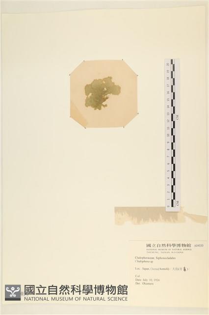 登錄號:A00004030藏品圖，第3張