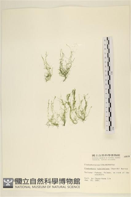 登錄號:A00000130藏品圖，第1張