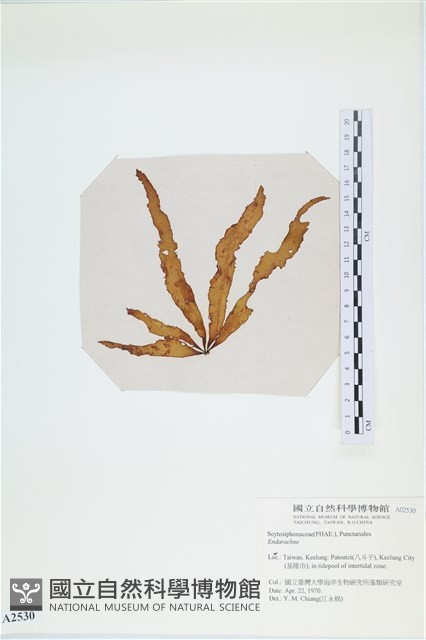 登錄號:A00002530藏品圖，第3張