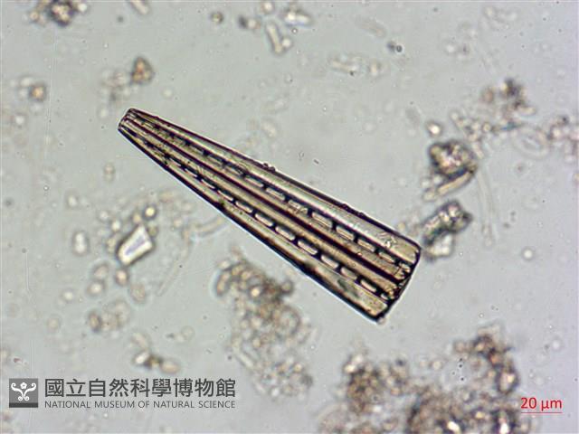 登錄號:A00004530藏品圖，第3張