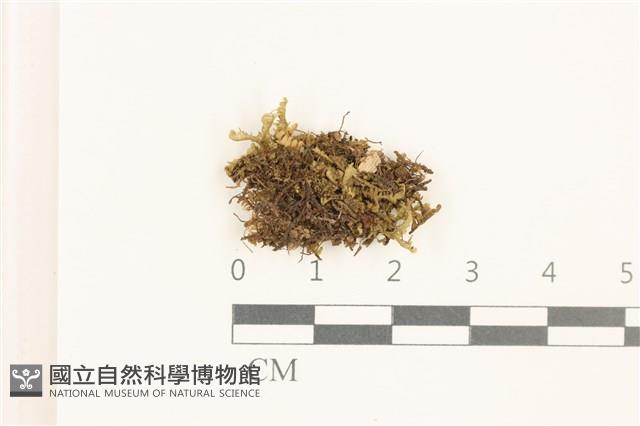 登錄號:B00015530藏品圖，第1張