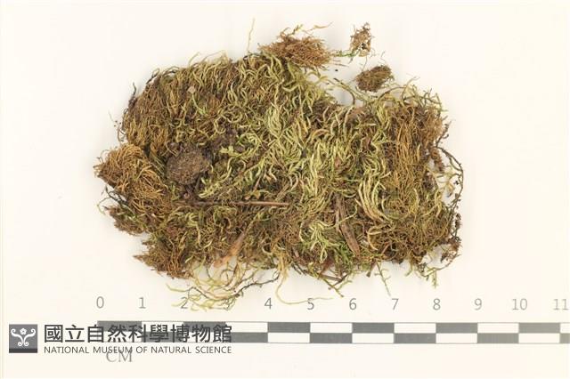 登錄號:B00012430藏品圖，第1張