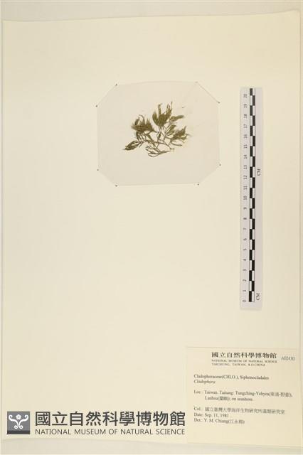 Accession Number:A00002430 Collection Image, Figure 3, Total 3 Figures