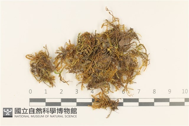 登錄號:B00011430藏品圖，第1張
