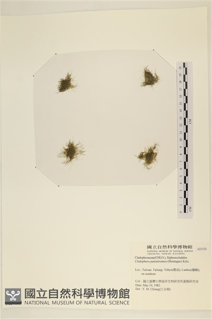 登錄號:A00003430藏品圖，第1張