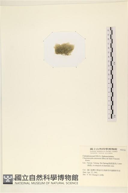 登錄號:A00002330藏品圖，第3張