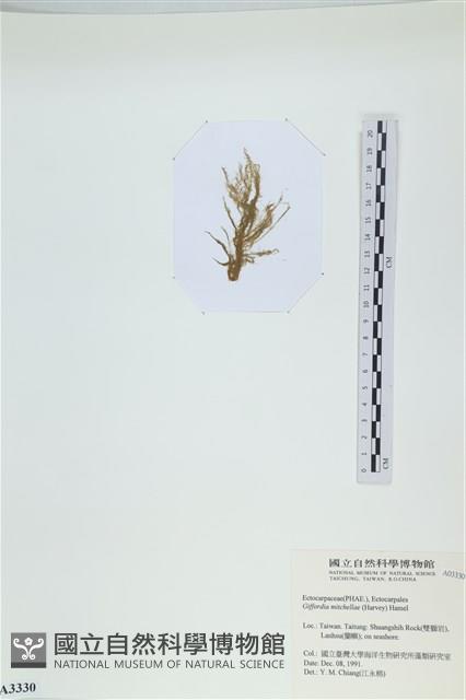 登錄號:A00003330藏品圖，第3張