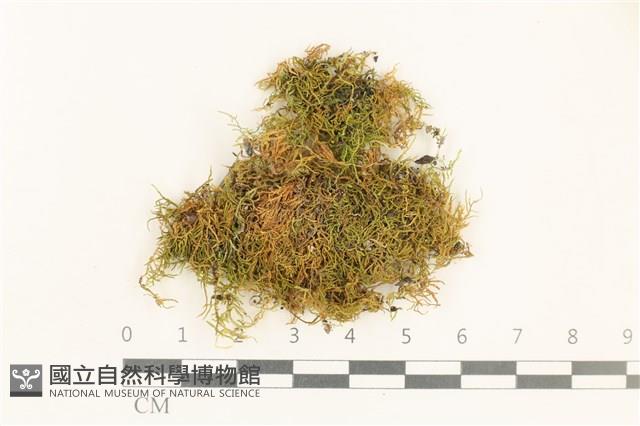 登錄號:B00012730藏品圖，第1張