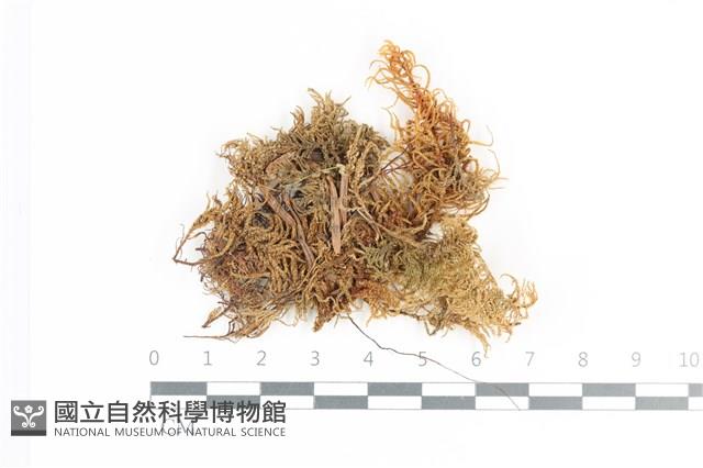 登錄號:B00018650藏品圖，第1張