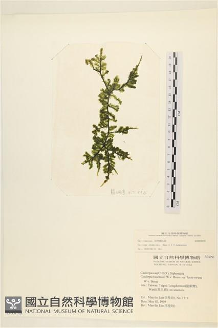 登錄號:A00004050藏品圖，第1張