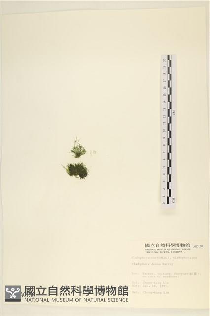 登錄號:A00000150藏品圖，第1張