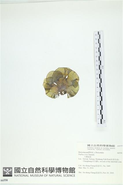 登錄號:A00006550藏品圖，第3張