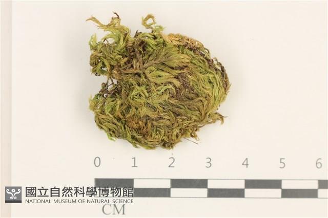 登錄號:B00015550藏品圖，第1張