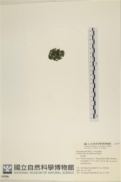 登錄號:A00005550藏品圖，第3張