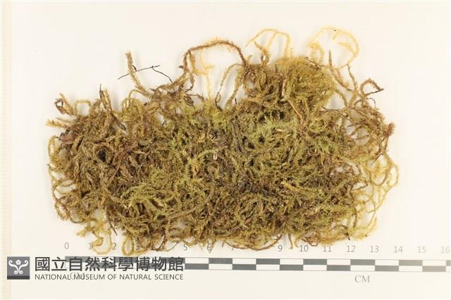登錄號:B00000550藏品圖，第1張