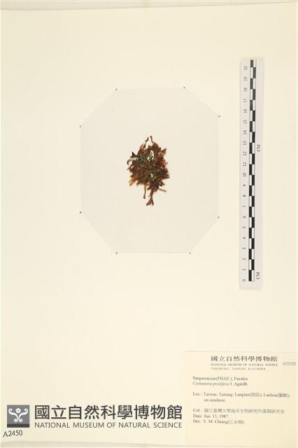 館號:A00002450藏品圖，第3張