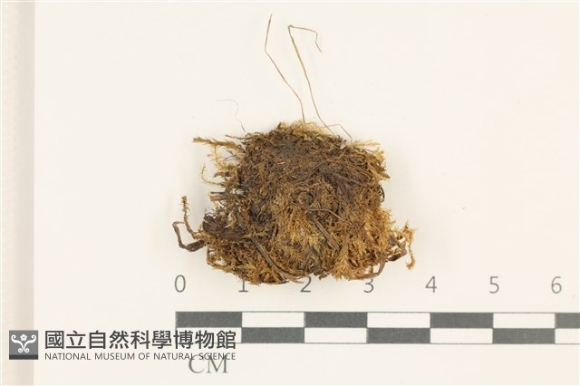 登錄號:B00014450藏品圖，第1張