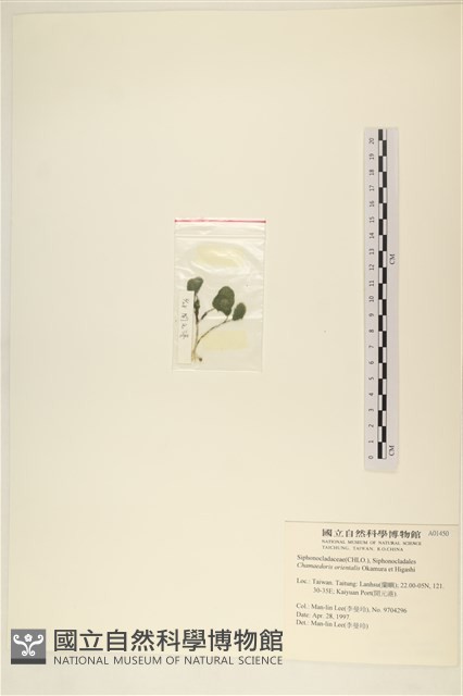 登錄號:A00001450藏品圖，第3張