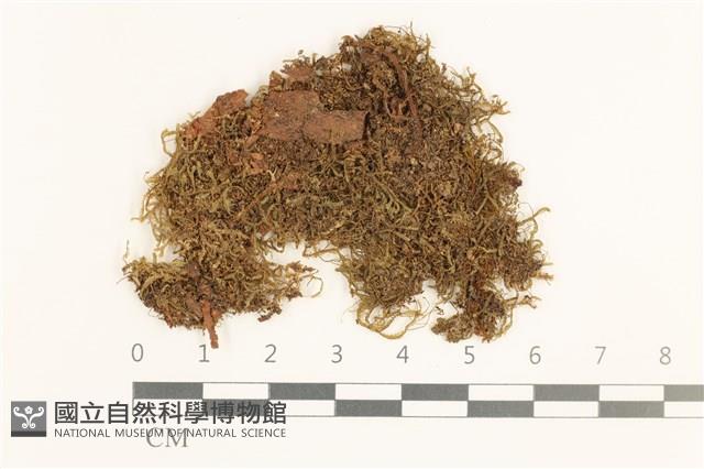 登錄號:B00019750藏品圖，第1張