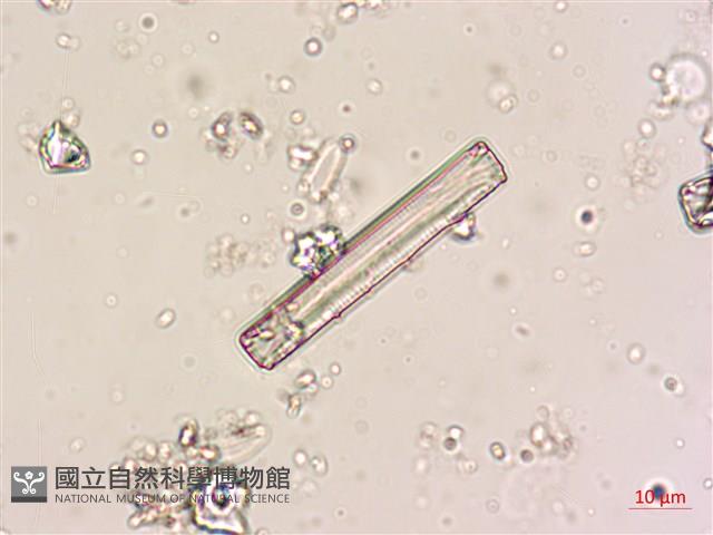 登錄號:A00004620藏品圖，第3張