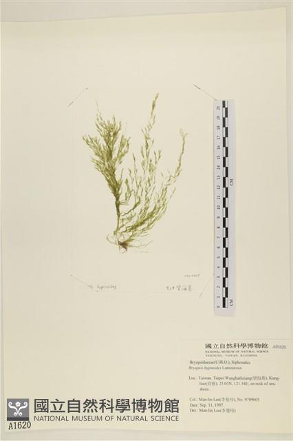 登錄號:A00001620藏品圖，第3張