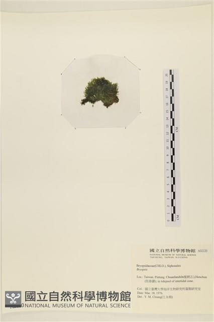 登錄號:A00002220藏品圖，第3張