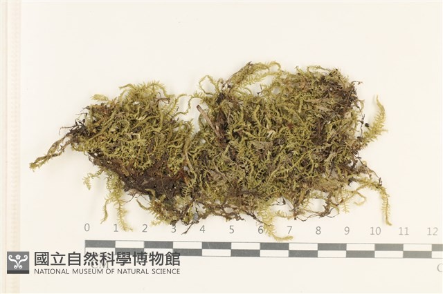 登錄號:B00011520藏品圖，第1張