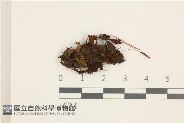 登錄號:B00003520藏品圖，第1張