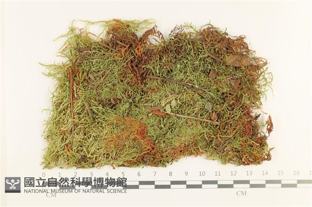 登錄號:B00012420藏品圖，第1張