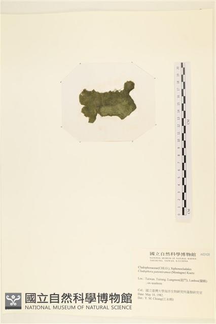 登錄號:A00002420藏品圖，第3張