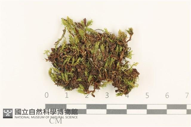 Accession Number:B00009420 Collection Image, Figure 1, Total 2 Figures