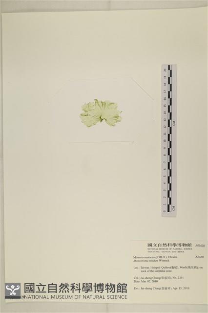 登錄號:A00006420藏品圖，第3張