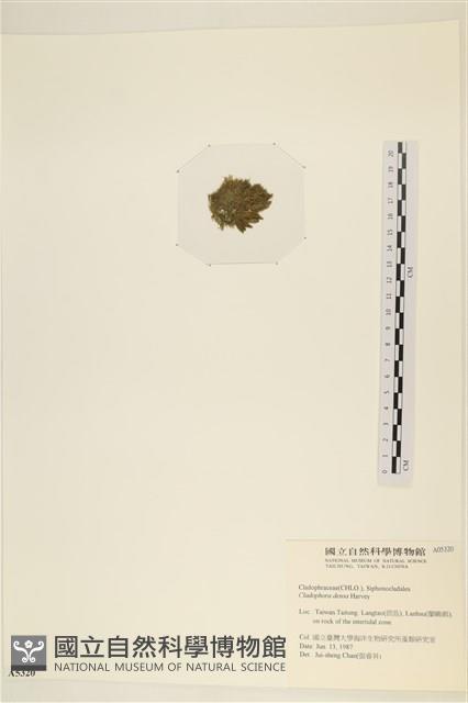 登錄號:A00005320藏品圖，第3張