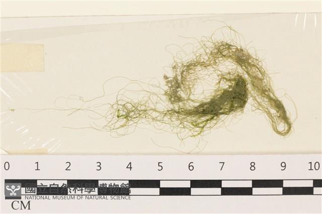 登錄號:A00006720藏品圖，第1張